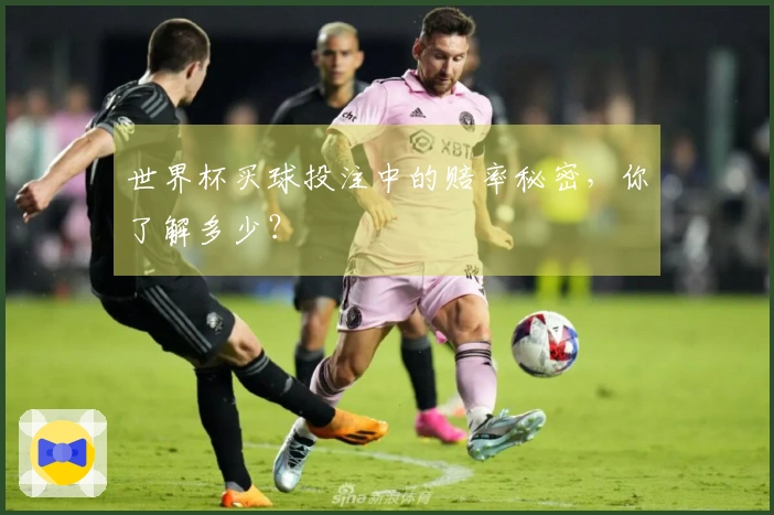 世界杯买球投注中的赔率秘密，你了解多少？