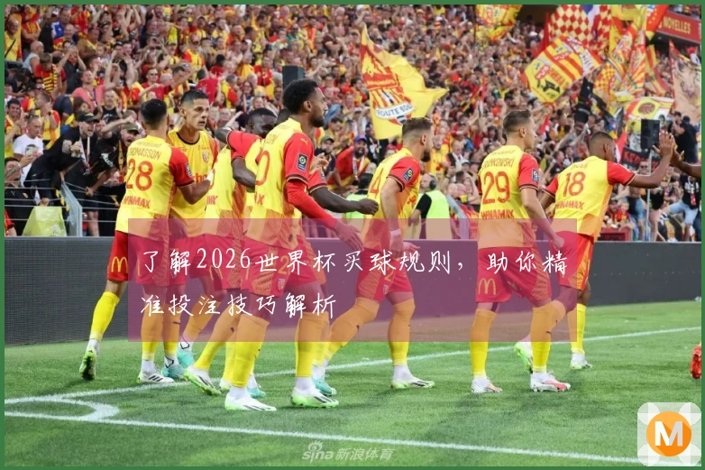 了解2026世界杯买球规则，助你精准投注技巧解析