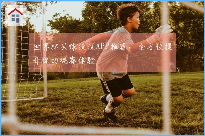 世界杯买球投注APP推荐,全方位提升你的观赛体验