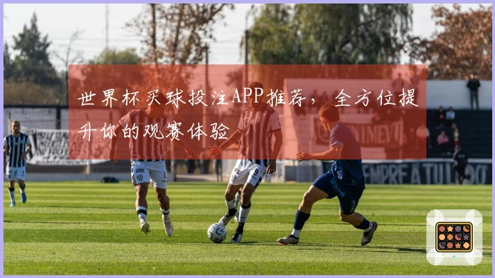 世界杯买球投注APP推荐，全方位提升你的观赛体验
